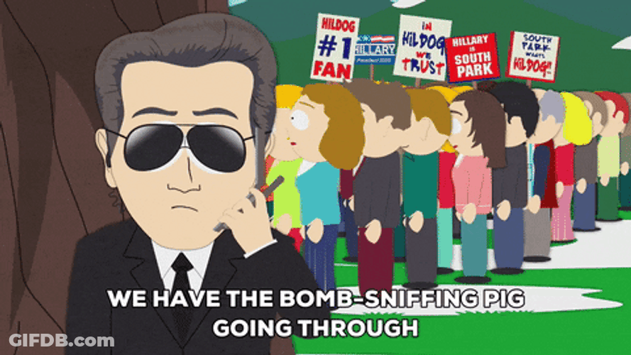 Cia Agent Bomb Sniffing Pig South Park GIF