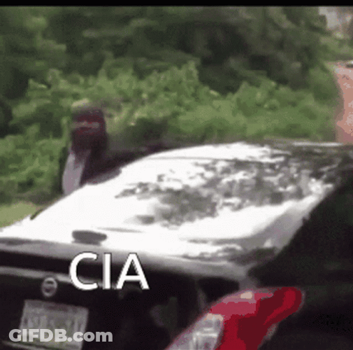 Cia Cocky Black Guy Arguing GIF