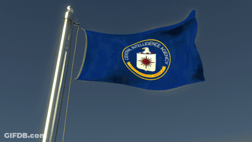CIA Flag Flying In Wind GIF