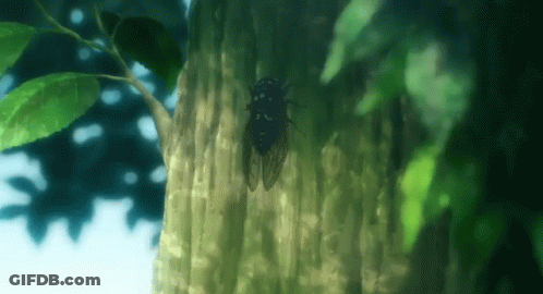 Cicada Perched On Tree Trunk GIF