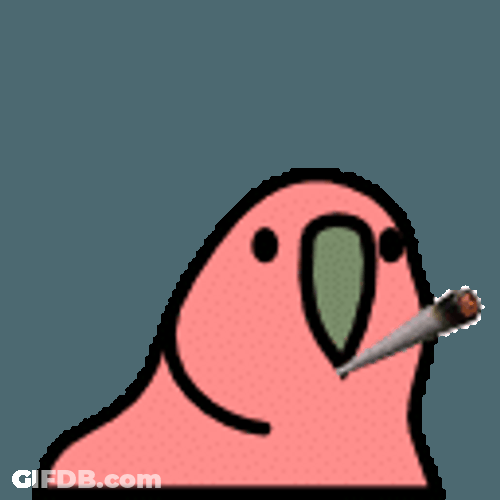 Cigarette In Its Mouth Party Parrot GIF