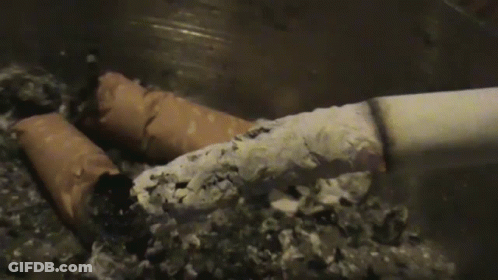 Cigarette Lying In Ashes GIF