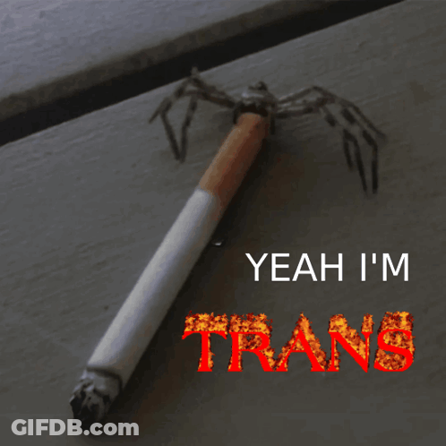 Cigarette With Spider And Yeah I'm Trans GIF