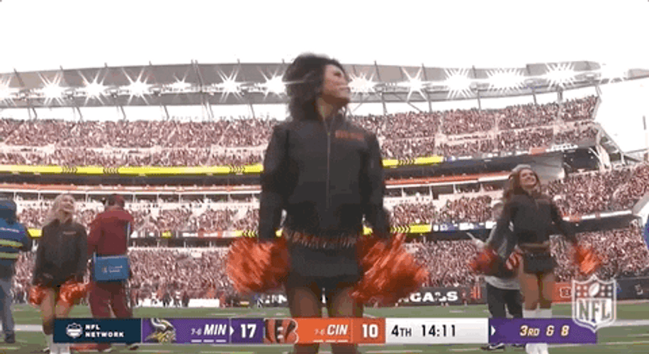 Cincinnati Bengals Cheer Dance GIF