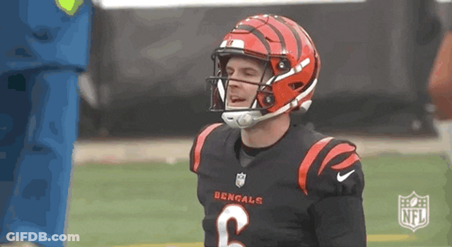 Cincinnati Bengals Disappointed GIF