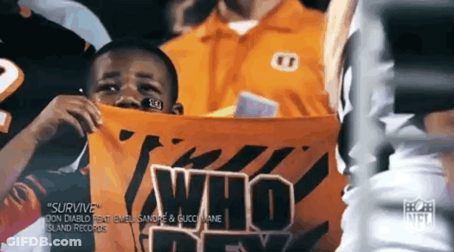 Cincinnati Bengals Fan Boy Showing Who Dey Banner GIF