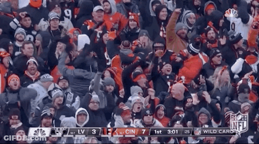 Cincinnati Bengals Fans Who Dey Tradition GIF