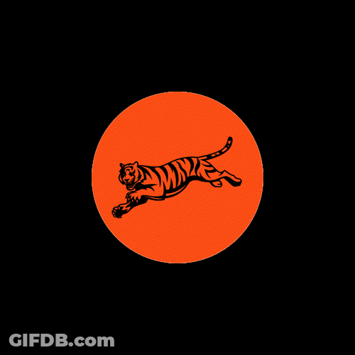 Cincinnati Bengals Football Who Dey Logo GIF