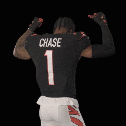 Cincinnati Bengals Ja Marr Chase GIF