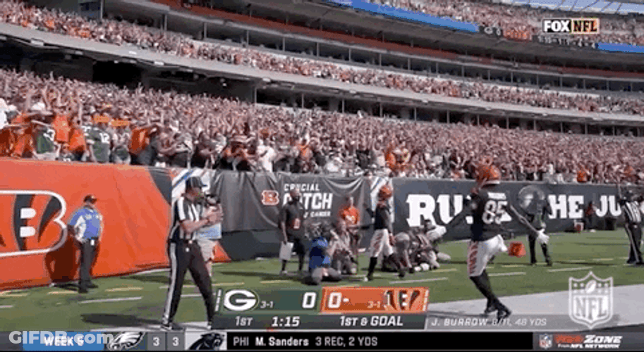 Cincinnati Bengals Player Who Dey Fans Cheer GIF