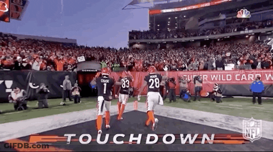 Cincinnati Bengals Team Approaching Who Dey Nation GIF