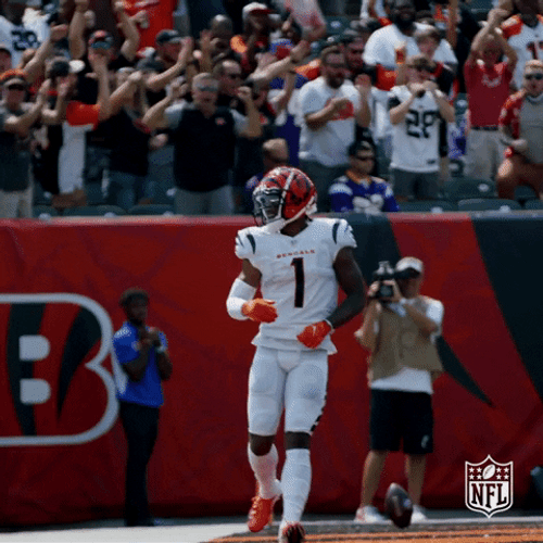 Cincinnati Bengals Who Dey Dancing GIF