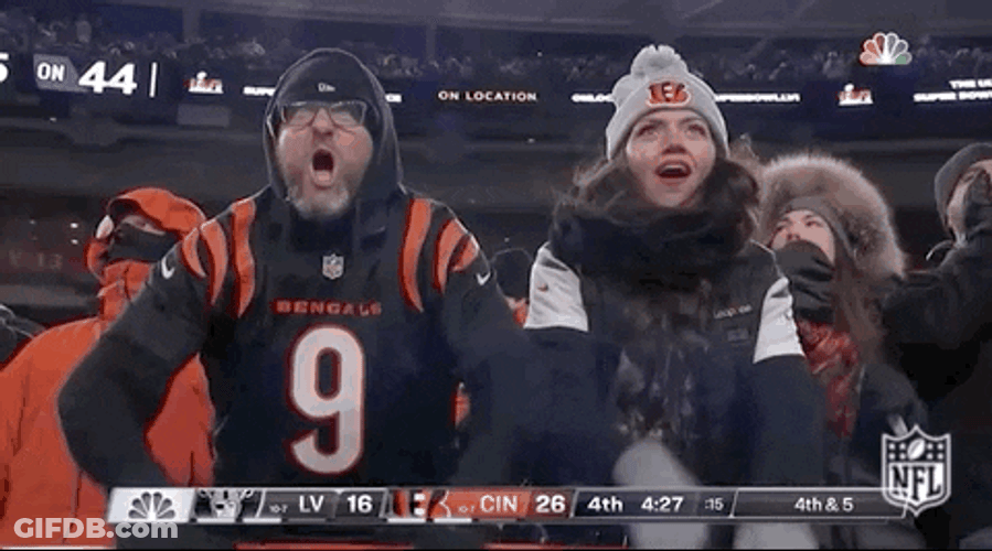 Cincinnati Bengals Who Dey Fan Come On GIF