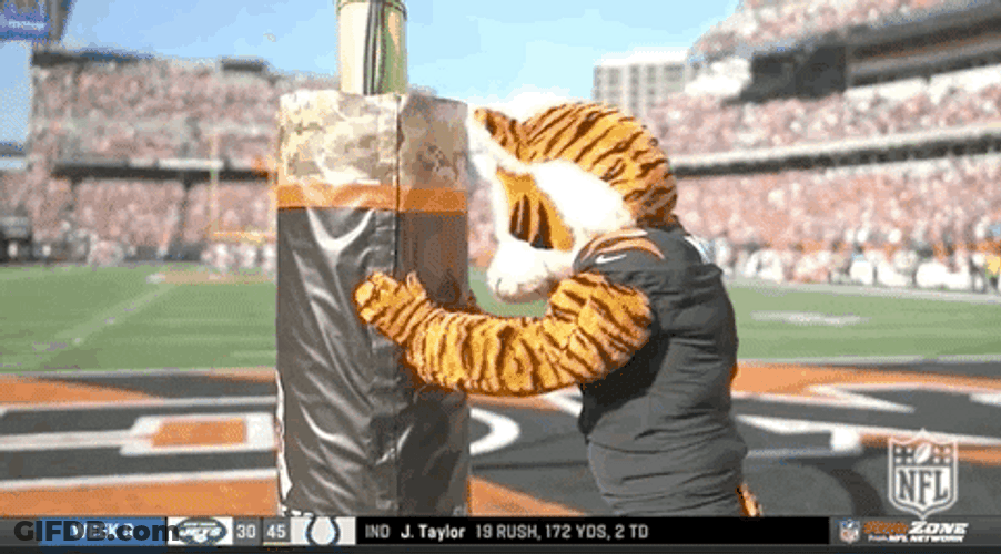 Cincinnati Bengals Who Dey Mascot Disappointed GIF