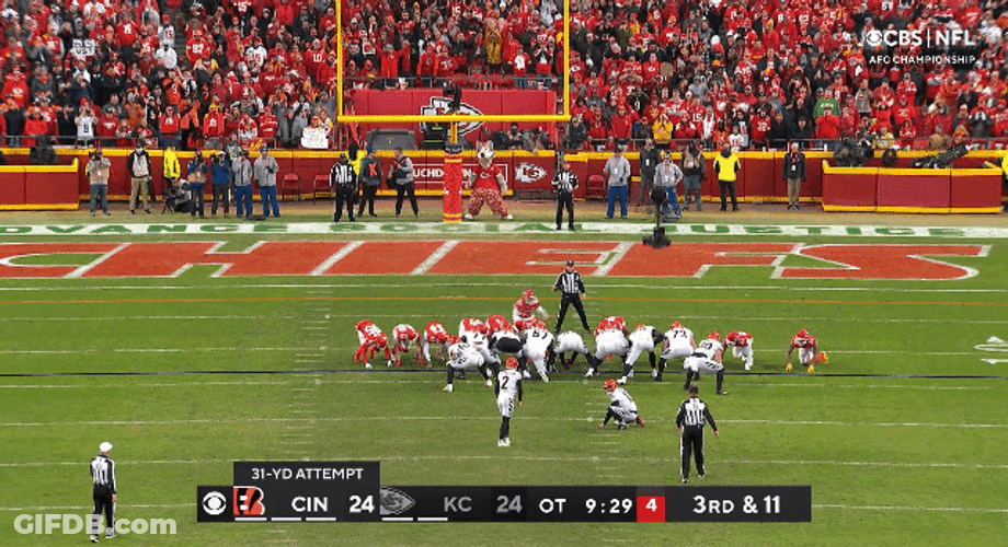 Cincinnati Bengals Who Dey Nation Solid Win GIF