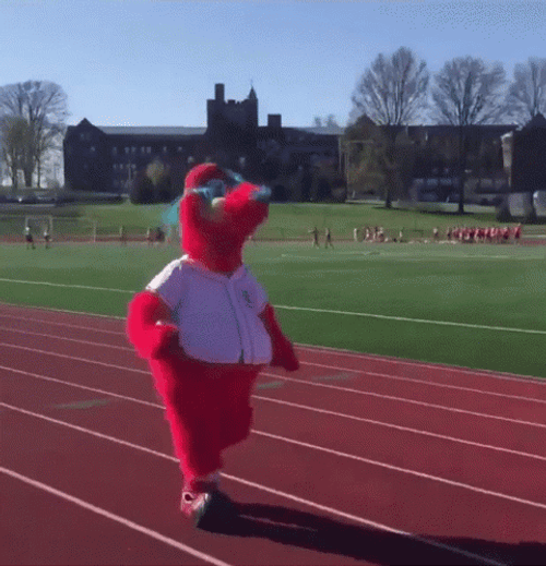 Cincinnati Reds Gapper Tripping GIF