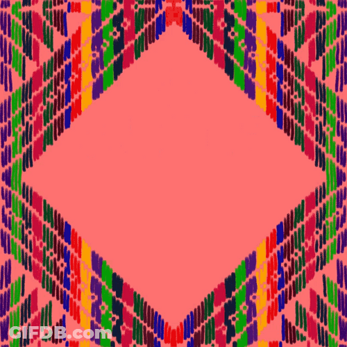 Cinco De Mayo Culture Not Costume GIF