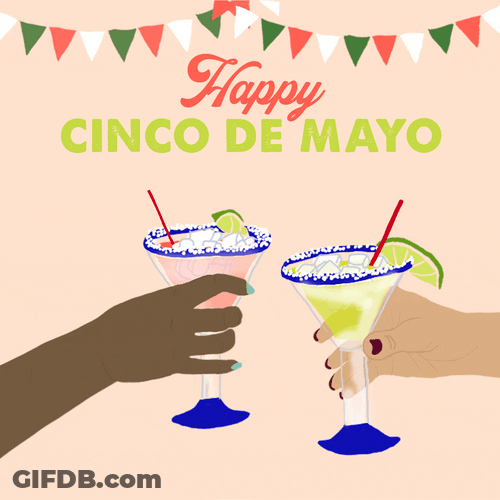 Cinco De Mayo Margarita Toast Art GIF