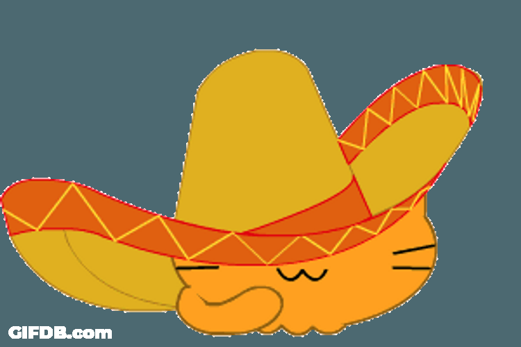 Cinco De Mayo Sleeping Cat Sticker GIF
