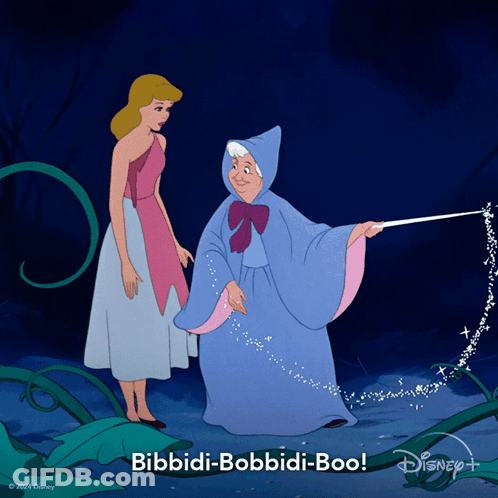 Cinderella And Fairy Godmother Disney Cartoon GIF