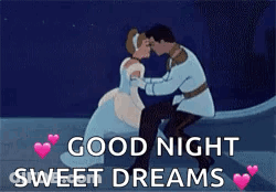 Cinderella And Prince Charming Kissing On Boat GIF