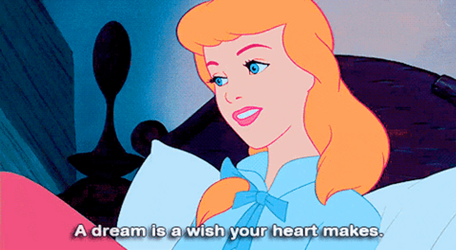 Cinderella Dream Is A Wish GIF