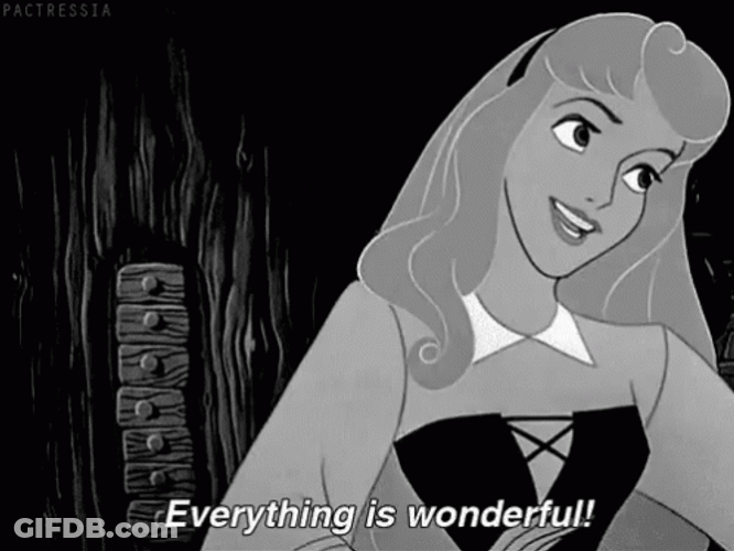 Cinderella Everything Is Wonderful GIF