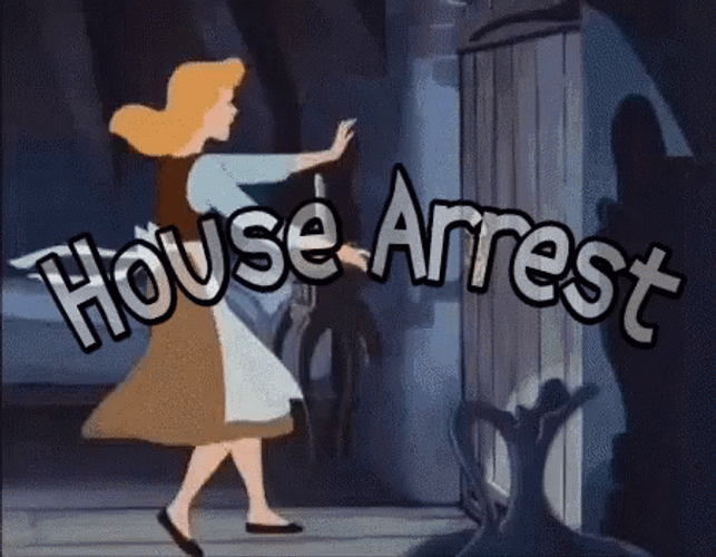 Cinderella House Arrest GIF