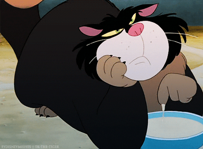 Cinderella Lucifer The Cat Milk Tasting GIF
