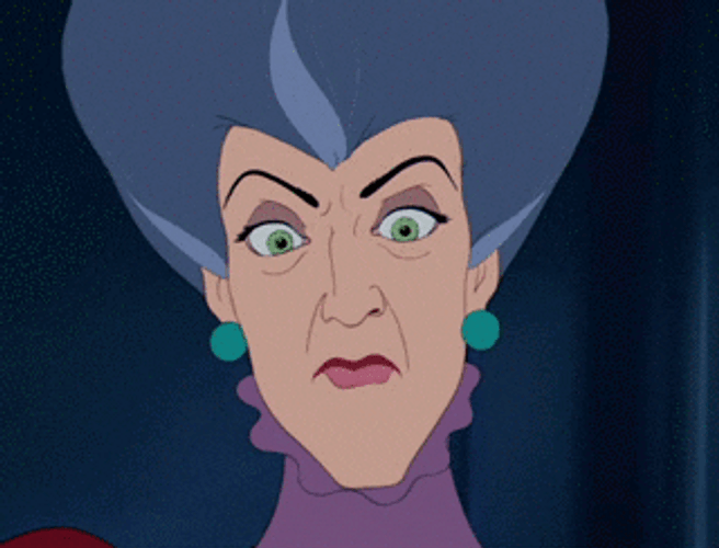 Cinderella Shocked Evil Stepmother GIF