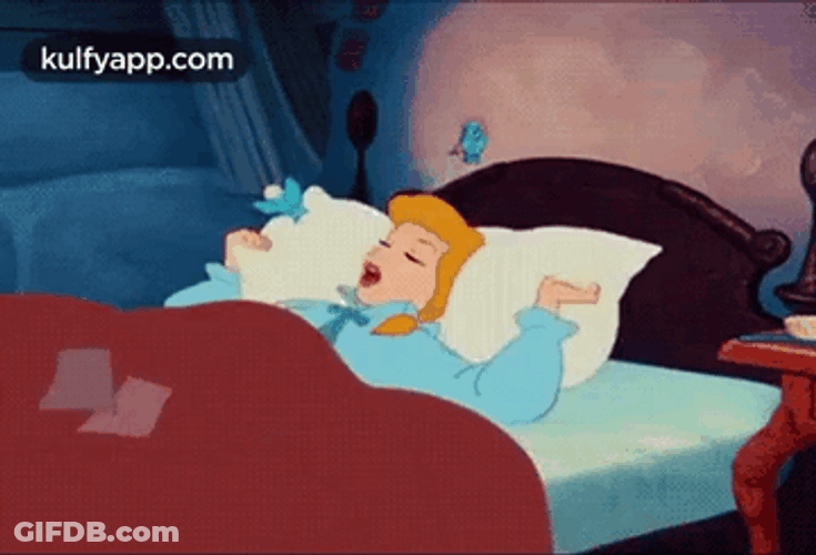 Cinderella Sleeping Beauty GIF