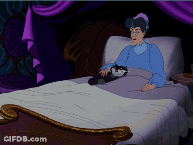 Cinderella Stepmother Lady Tremaine GIF
