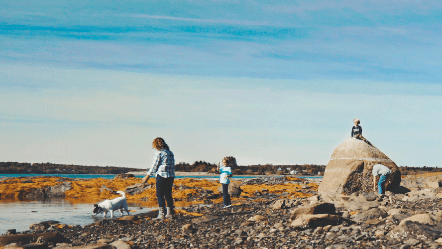 Cinemagraph Family Dog GIF