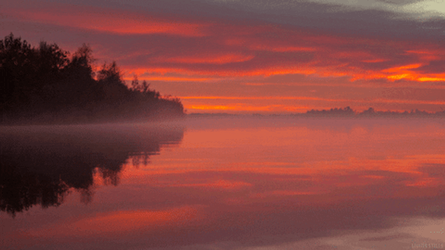 Cinemagraph Water Reflections GIF