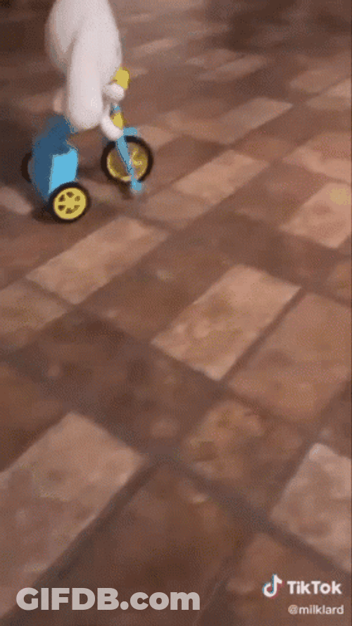 Cinnamoroll Plush Toy Riding Bike GIF
