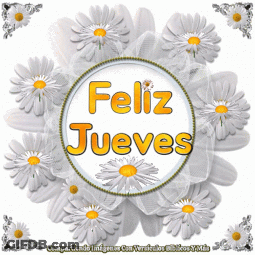 Circle Of Daisies Feliz Jueves GIF