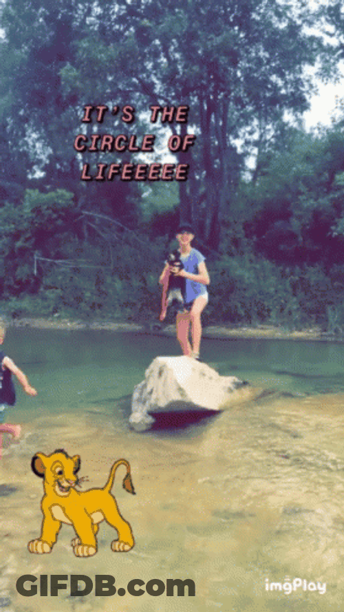 Circle Of Life In A River GIF