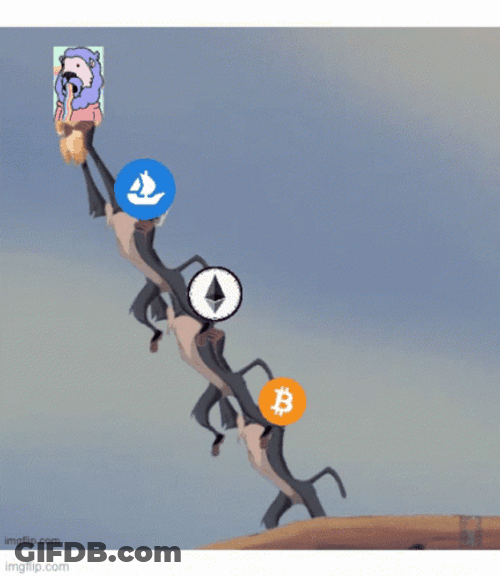 Circle Of Life Meme GIF