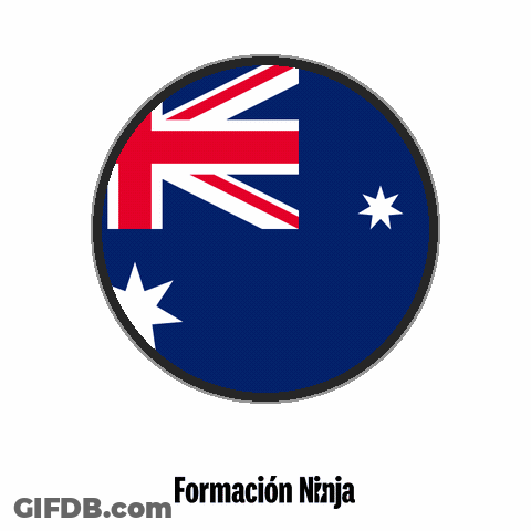 Circle With Flag And Formacion Ninja GIF