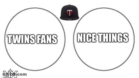 Circles Saying Twins Fans And Nice Things GIF