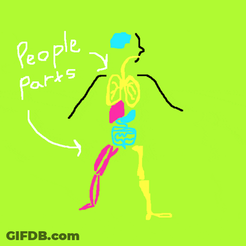 Circulatory System And Overall Health GIF