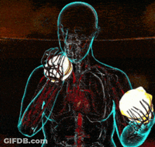 Circulatory System And Physical Activity GIF