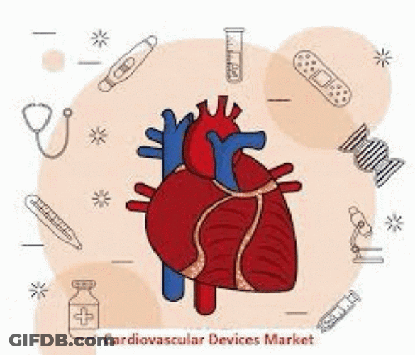 Circulatory System Importance Of Healthy Heart GIF