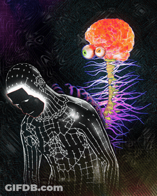 Circulatory System Remarkable Adaptability GIF