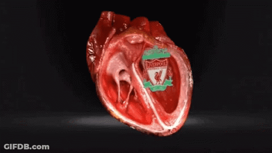 Circulatory System Temperature Regulation Pumping GIF