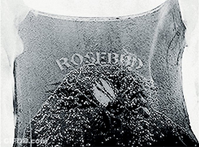 Citizen Kane Rosebud Burning GIF