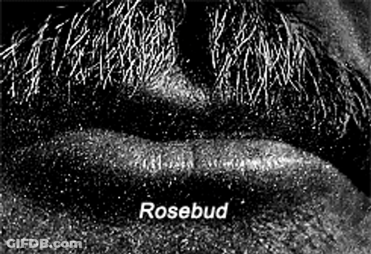 Citizen Kane Rosebud Lips GIF