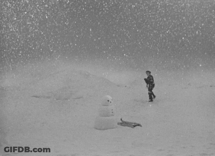 Citizen Kane Snowball Throwing GIF