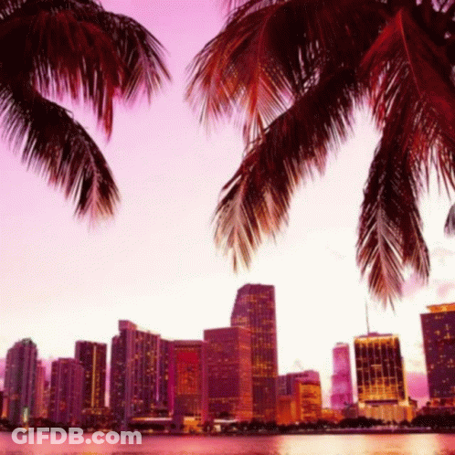 City Skyline With Palm Trees At Sunset GIF