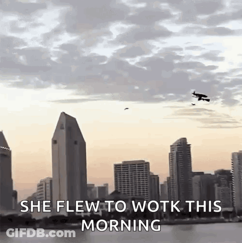 City Skyline With She Flew To Work GIF